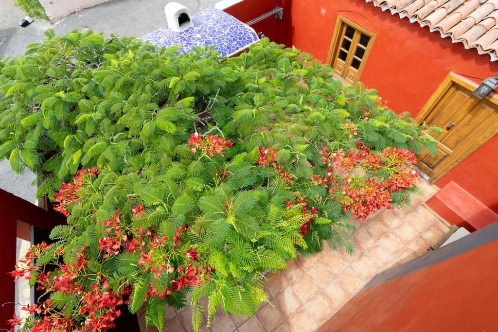 Rural House With Traditional Architecture S. XIX Santa Cruz de Tenerife Exterior photo